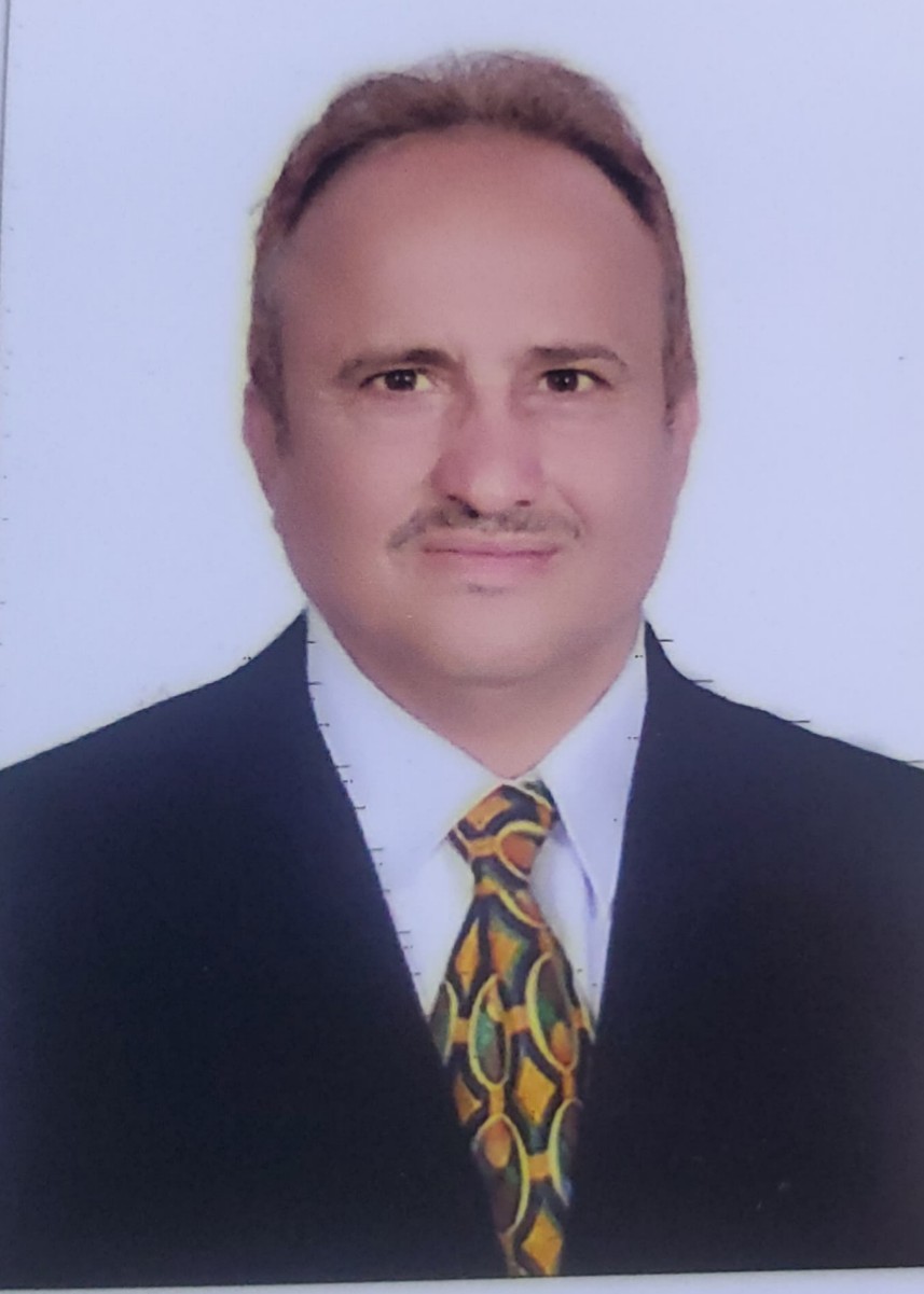 الهيكل الإداري